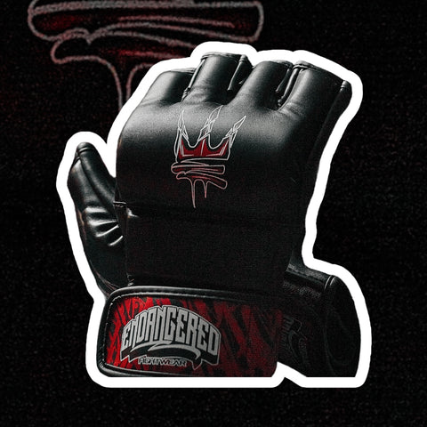 MMA  Gloves 4oz